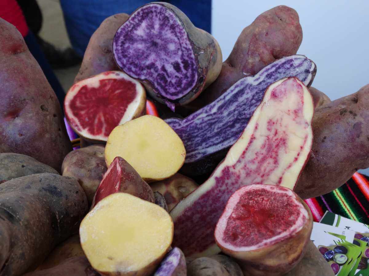 mercado de puno
